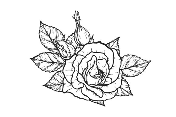 Rose Sublimation Graphics and Illustrations
